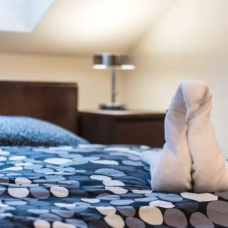 Spacious And Quiet Attic Flat In Centre