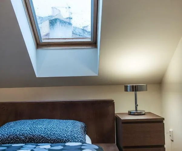 Spacious And Quiet Attic Flat In Centre Praga