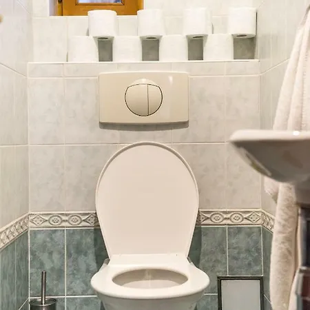 公寓 Spacious And Quiet Attic Flat In Centre 布拉格
