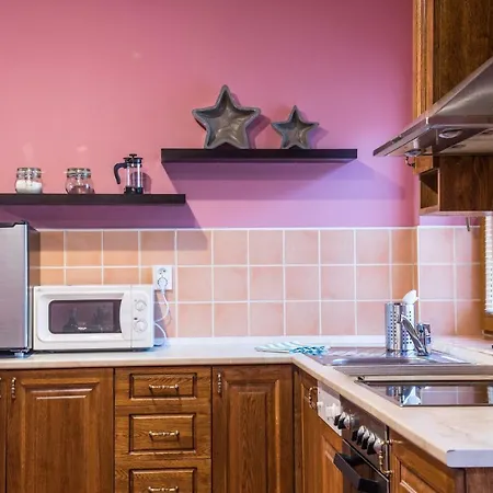 Spacious And Quiet Attic Flat In Centre Prague