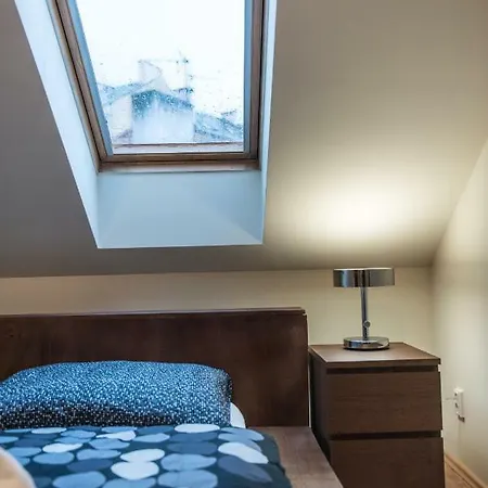 Spacious And Quiet Attic Flat In Centre Prague