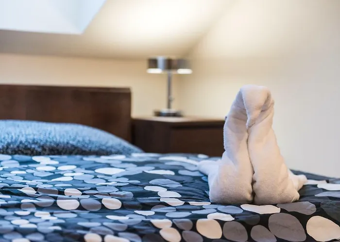 Spacious And Quiet Attic Flat In Centre