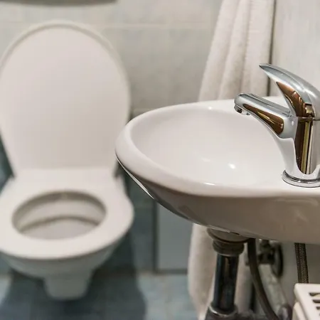 Spacious And Quiet Attic Flat In Centre דירה פראג